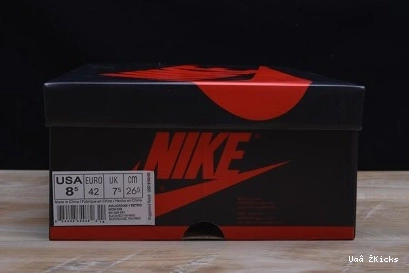 JORDAN AIR 338 RETRO 1 DailyWear 1010